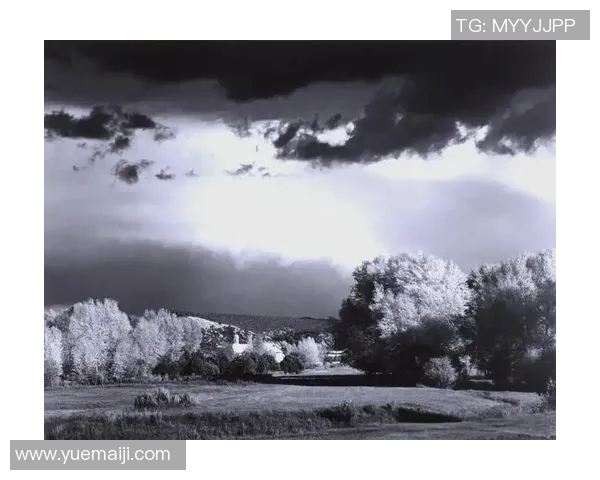 亚当斯的传奇人生与影响力探秘，揭示他在历史舞台上的重要角色与贡献